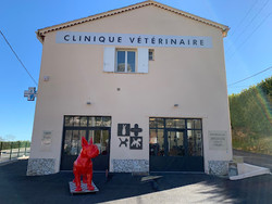 commentaire