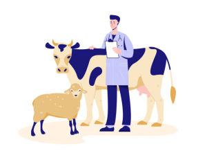 dessin veterinaire